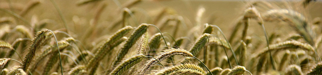 Lucram pentru siguranta viitorului dvs.!