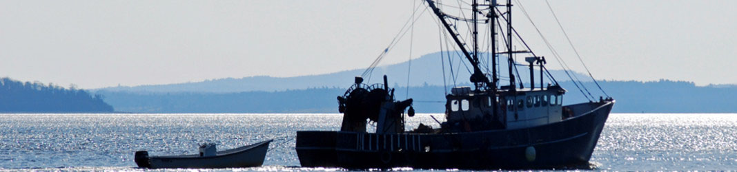 Connecting business – punem oamenii, lucrurile in legatura