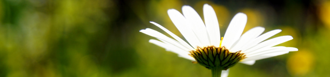 Lucram pentru siguranta viitorului dvs.!