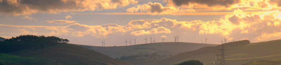 Partenerul tau de valoare!